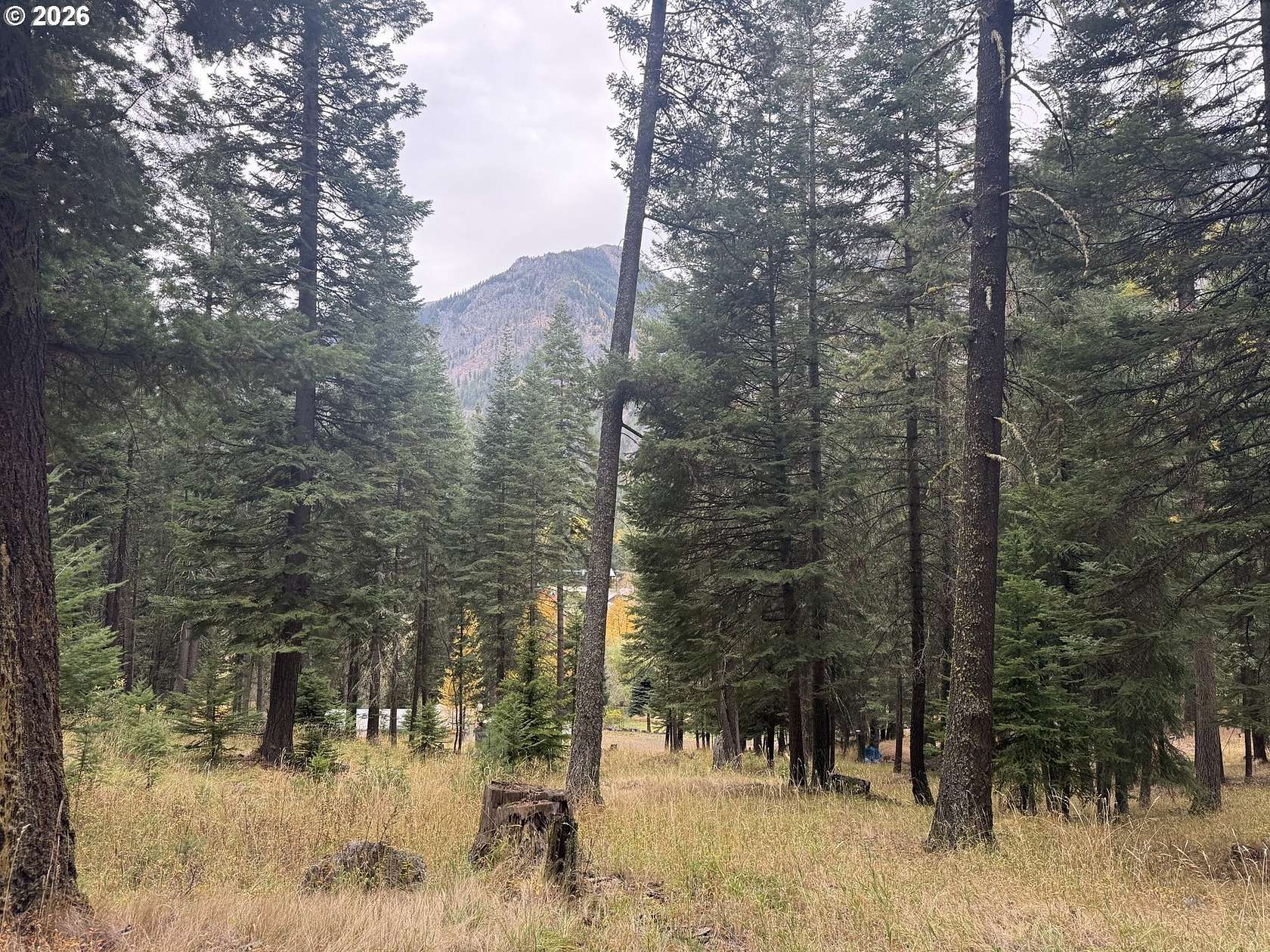9.74 Acres of Land for Sale in Joseph, Oregon