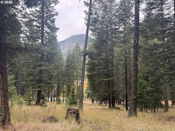9.74 Acres of Land for Sale in Joseph, Oregon
