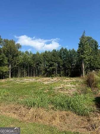 1.16 Acres of Land for Sale in Clermont, Georgia