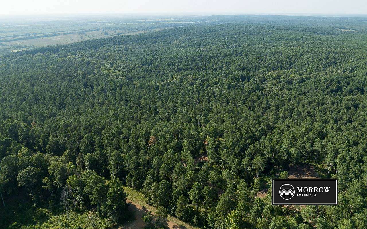 519 Acres of Land for Sale in Plain Dealing, Louisiana