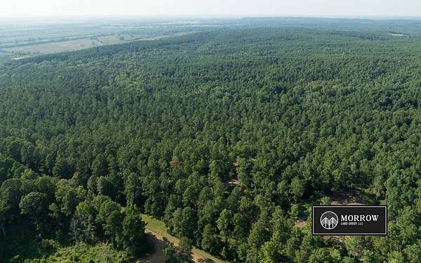 519 Acres of Land for Sale in Plain Dealing, Louisiana