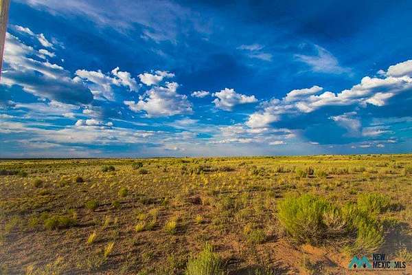 161 Acres of Land for Sale in Vanderwagen, New Mexico