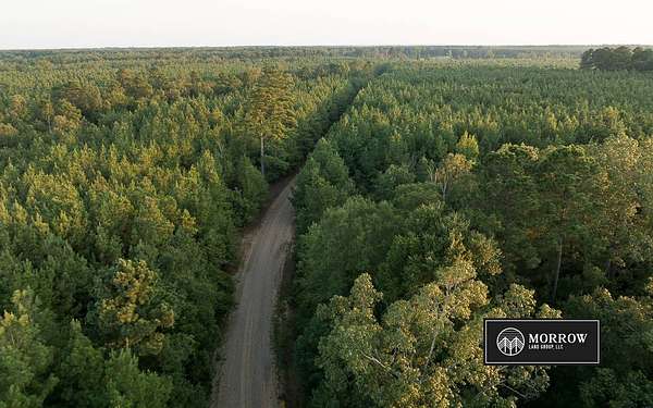 168 Acres of Land for Sale in Plain Dealing, Louisiana