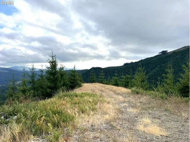 40 Acres of Recreational Land for Sale in Timber, Oregon