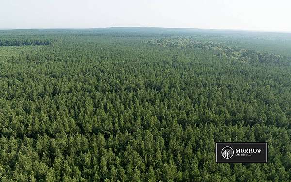 159 Acres of Land for Sale in Benton, Louisiana