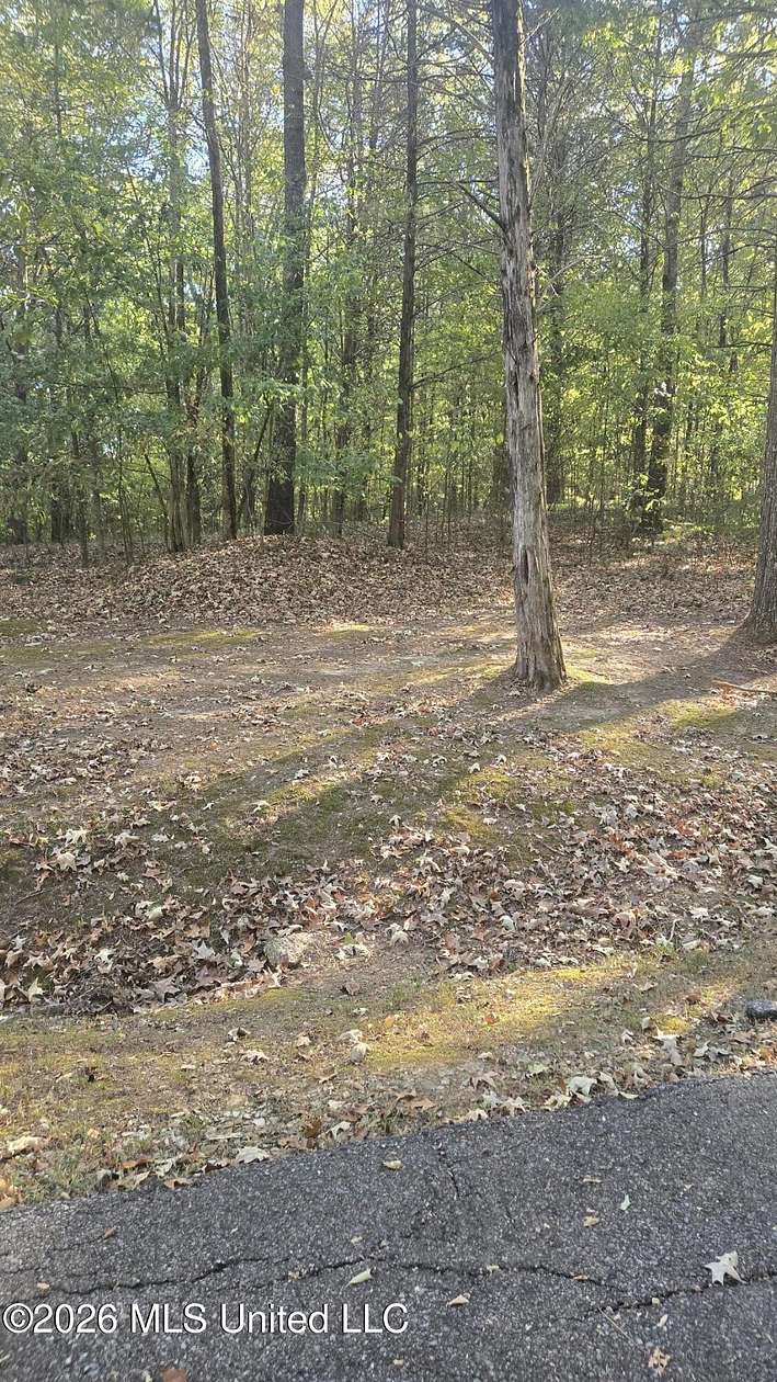 2.1 Acres of Land for Sale in Byhalia, Mississippi