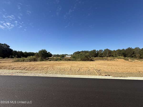 0.3 Acres of Commercial Land for Sale in Flora, Mississippi