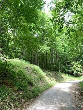 10.8 Acres of Land for Sale in Franklin, North Carolina