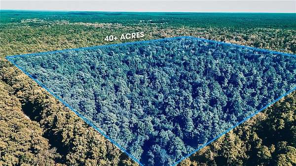 41 Acres of Land for Sale in Dry Prong, Louisiana