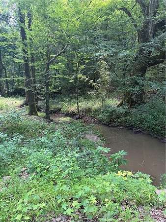 40 Acres of Recreational & Residential Land for Sale in Pineville, Louisiana