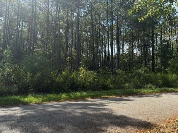 1.15 Acres of Land for Sale in Pollock, Louisiana