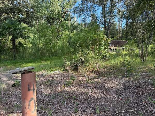 4 Acres of Residential Land for Sale in Deville, Louisiana