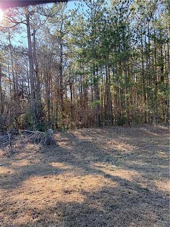 4 Acres of Mixed-Use Land for Sale in Pollock, Louisiana