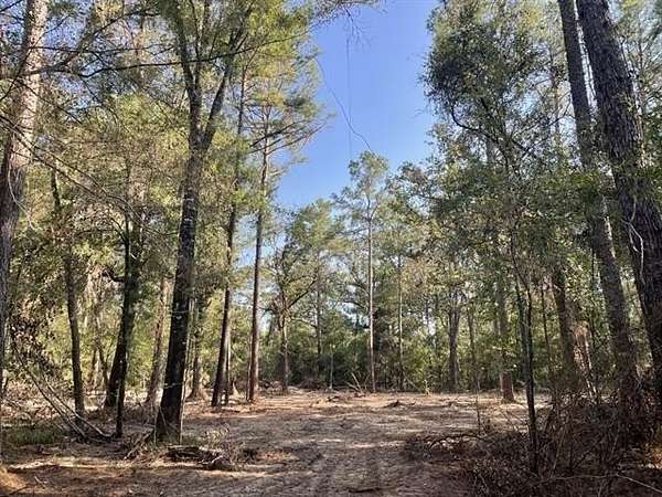 12 Acres of Land for Sale in Hammond, Louisiana