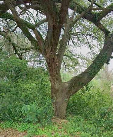 0.78 Acres of Residential Land for Sale in Natchitoches, Louisiana