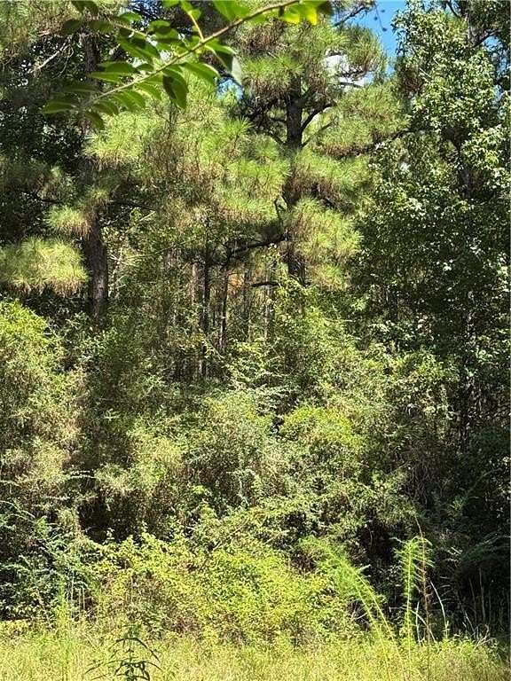 25 Acres of Land for Sale in Lena, Louisiana