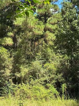 25 Acres of Land for Sale in Lena, Louisiana