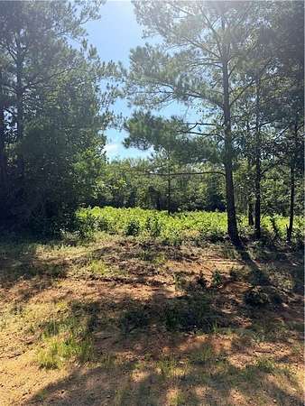 1 Acre of Residential Land for Sale in Pollock, Louisiana