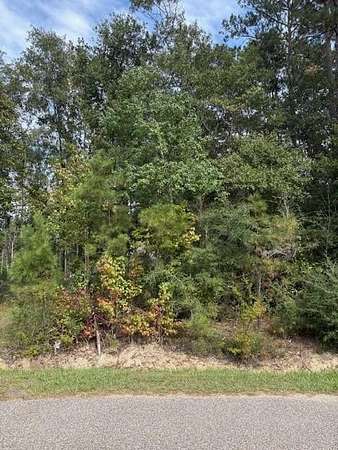 0.33 Acres of Residential Land for Sale in Pearl River, Louisiana