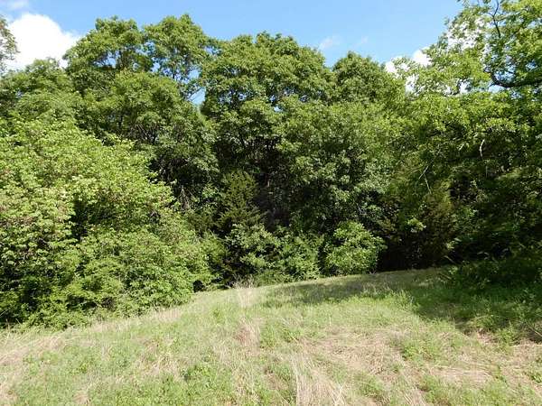 0.17 Acres of Residential Land for Sale in Dallas, Texas