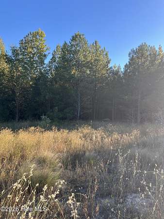 1.1 Acres of Residential Land for Sale in Laurinburg, North Carolina