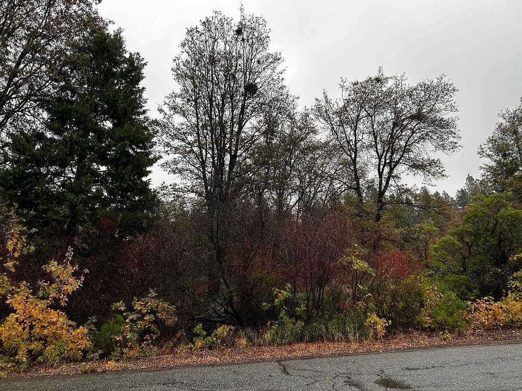 2.77 Acres of Land for Sale in Mount Shasta, California