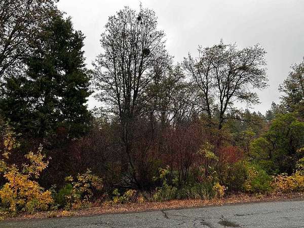 2.77 Acres of Land for Sale in Mount Shasta, California