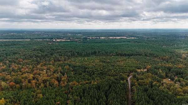 79 Acres of Recreational & Residential Land for Sale in Sparkman, Arkansas