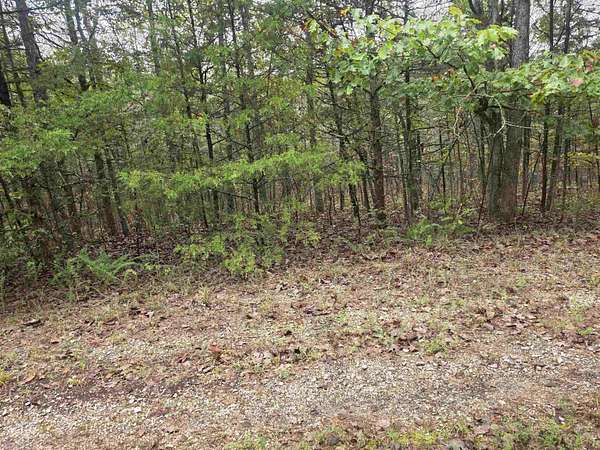 0.33 Acres of Residential Land for Sale in Cherokee Village, Arkansas