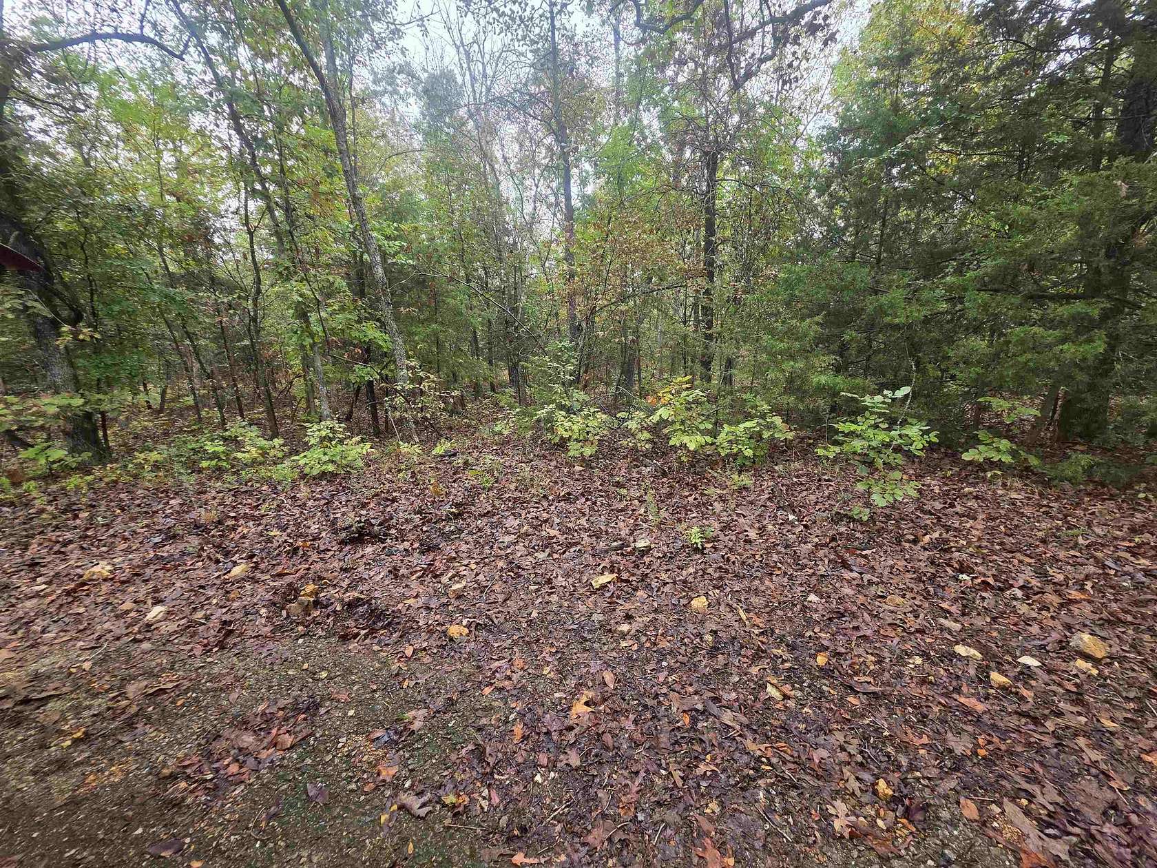 0.33 Acres of Residential Land for Sale in Cherokee Village, Arkansas