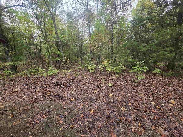 0.33 Acres of Residential Land for Sale in Cherokee Village, Arkansas