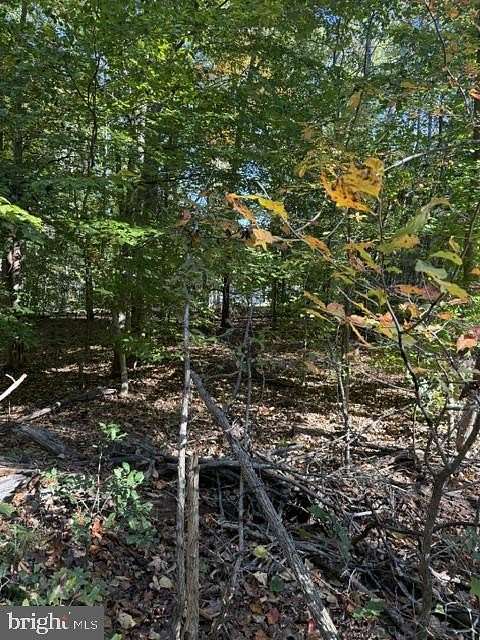 10 Acres of Residential Land for Sale in Hartwood, Virginia