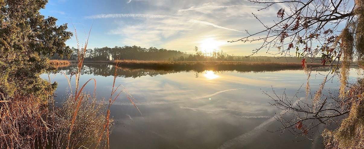100 Acres of Recreational Land for Sale in Belhaven, North Carolina