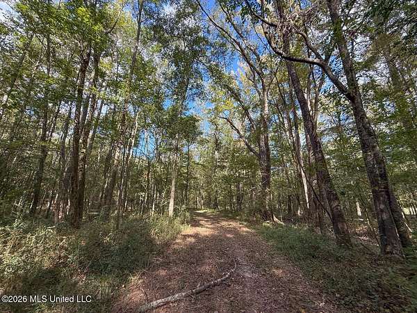 10 Acres of Residential Land for Sale in Brandon, Mississippi