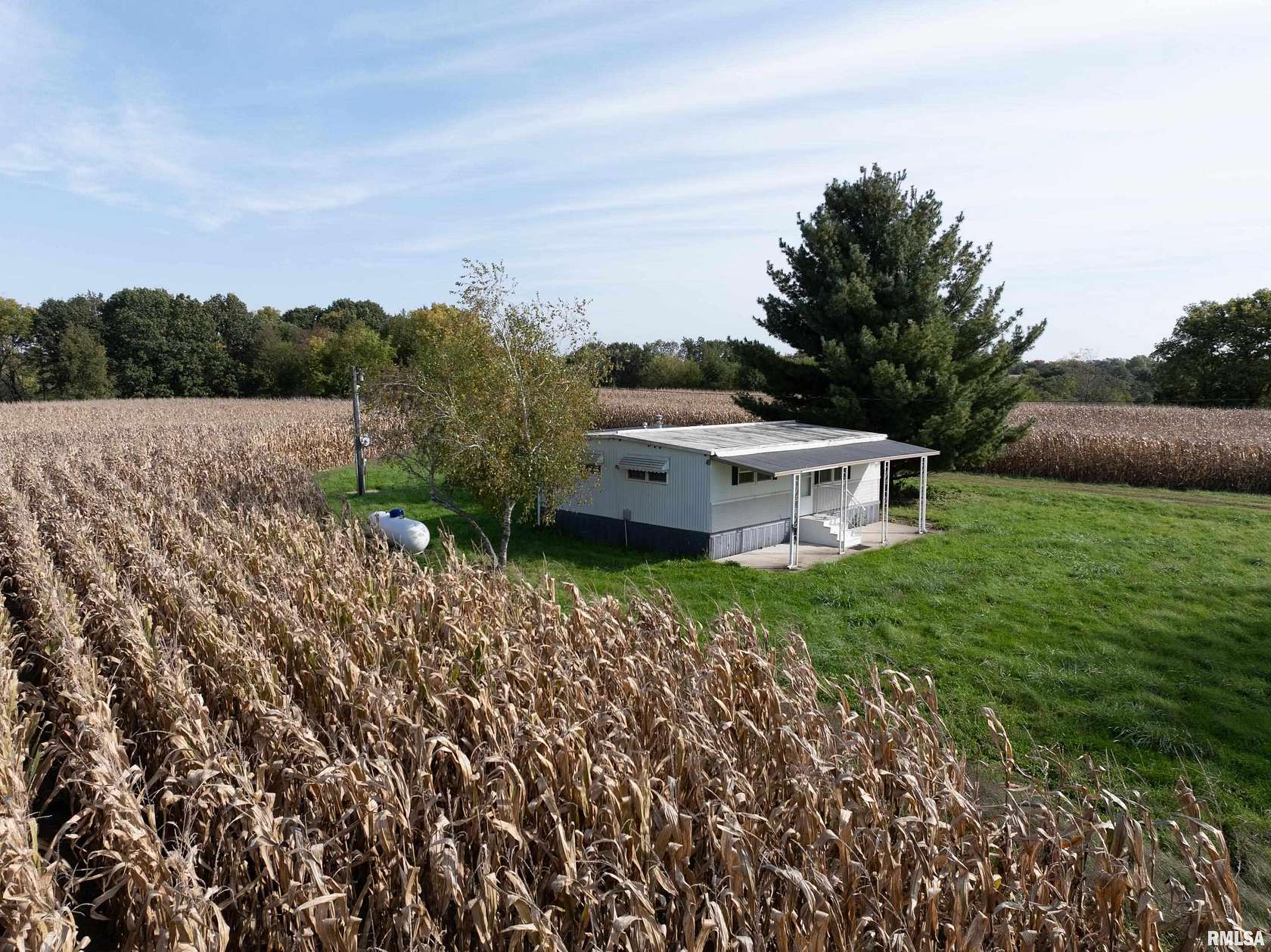 Improved Residential Land for Sale in Laura, Illinois