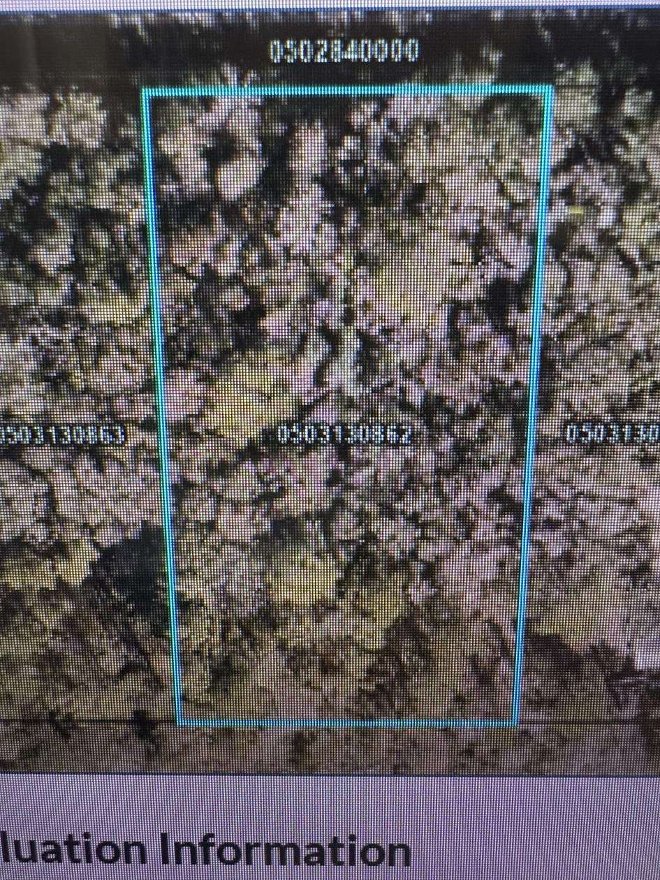 1.1 Acres of Residential Land for Sale in Hastings, Florida