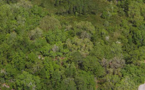 1.1 Acres of Residential Land for Sale in Hastings, Florida