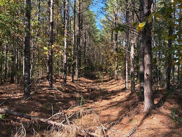 43.5 Acres of Recreational & Residential Land for Sale in Hohenwald, Tennessee
