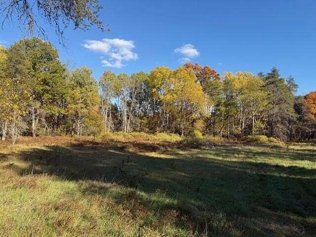 5.7 Acres of Land for Sale in Irons, Michigan