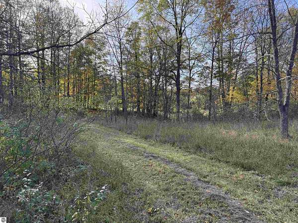 5 Acres of Residential Land for Sale in Maple City, Michigan