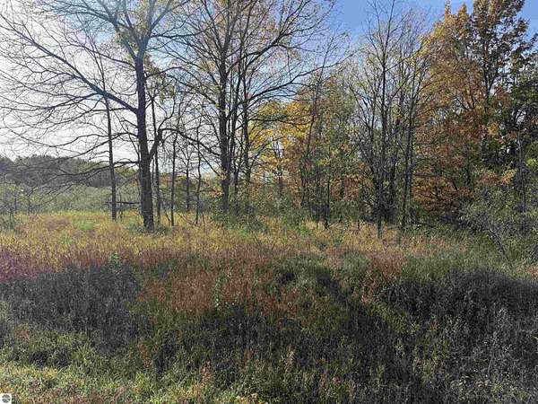 9.52 Acres of Residential Land for Sale in Maple City, Michigan