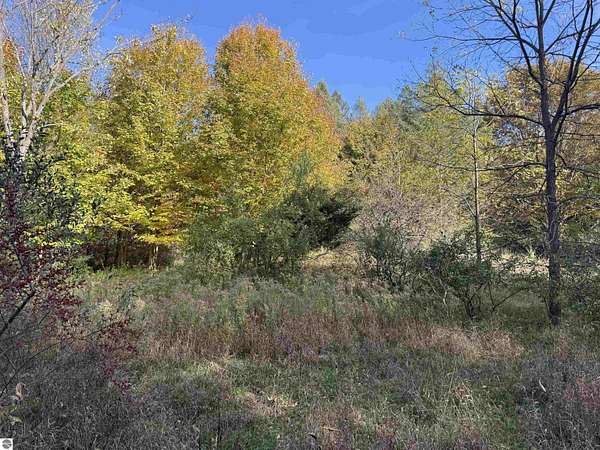 6.83 Acres of Residential Land for Sale in Maple City, Michigan