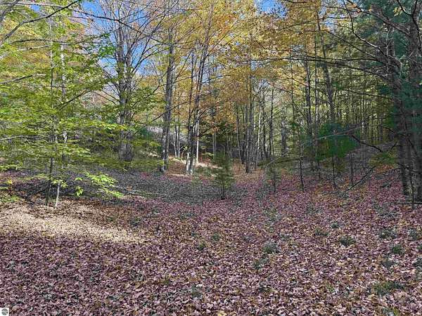 8 Acres of Residential Land for Sale in Maple City, Michigan