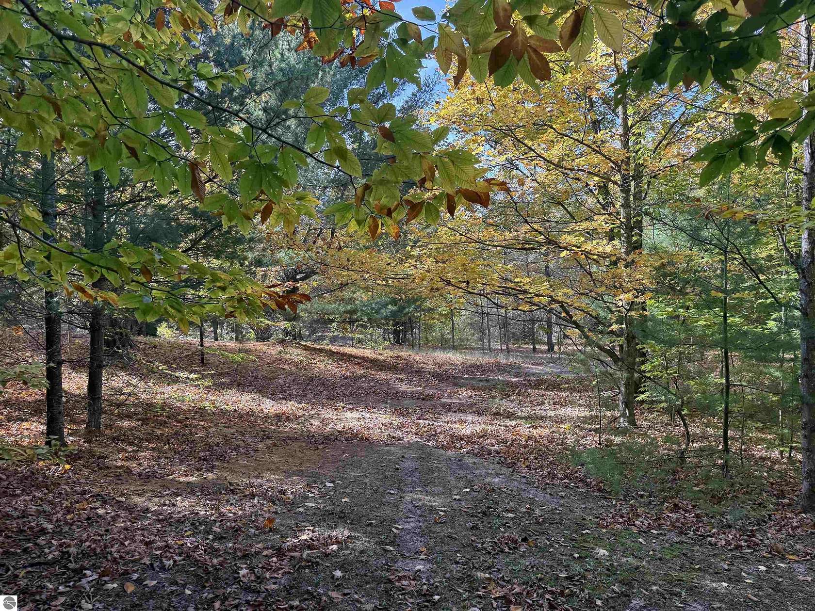 5 Acres of Residential Land for Sale in Maple City, Michigan - LandSearch