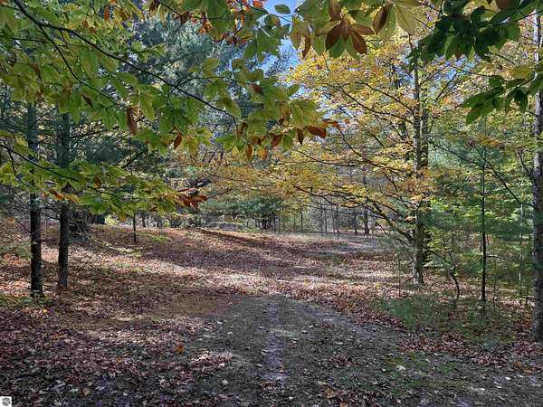 5 Acres of Residential Land for Sale in Maple City, Michigan