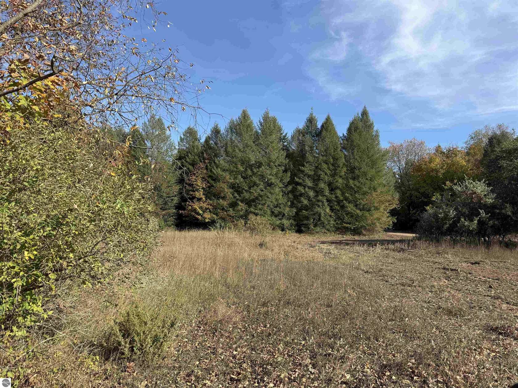 5 Acres of Residential Land for Sale in Maple City, Michigan