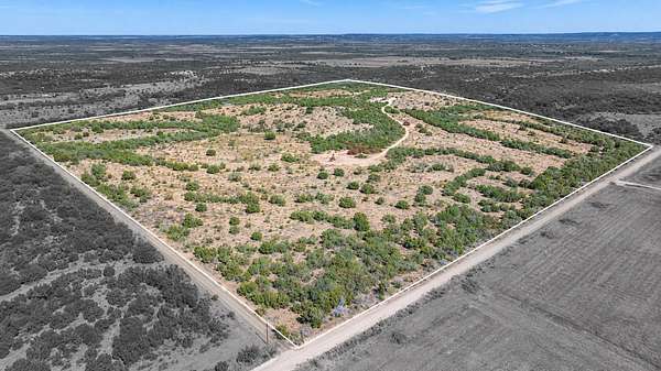 158 Acres of Recreational Land for Sale in Blackwell, Texas