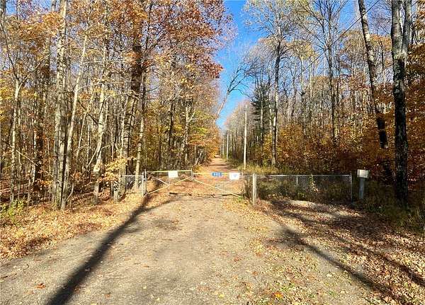 98.7 Acres of Recreational Land for Sale in Maryland, New York