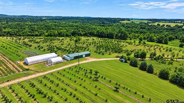 83.5 Acres of Land for Sale in Winona, Texas