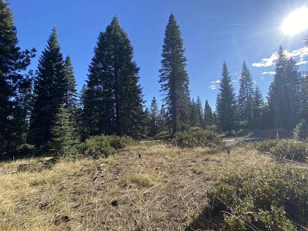 5.44 Acres of Residential Land for Sale in McCloud, California